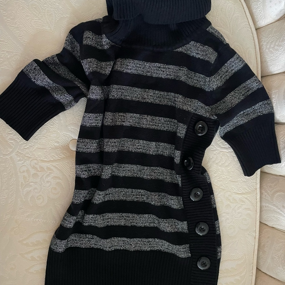 Striped Silver Shimmery Turtleneck